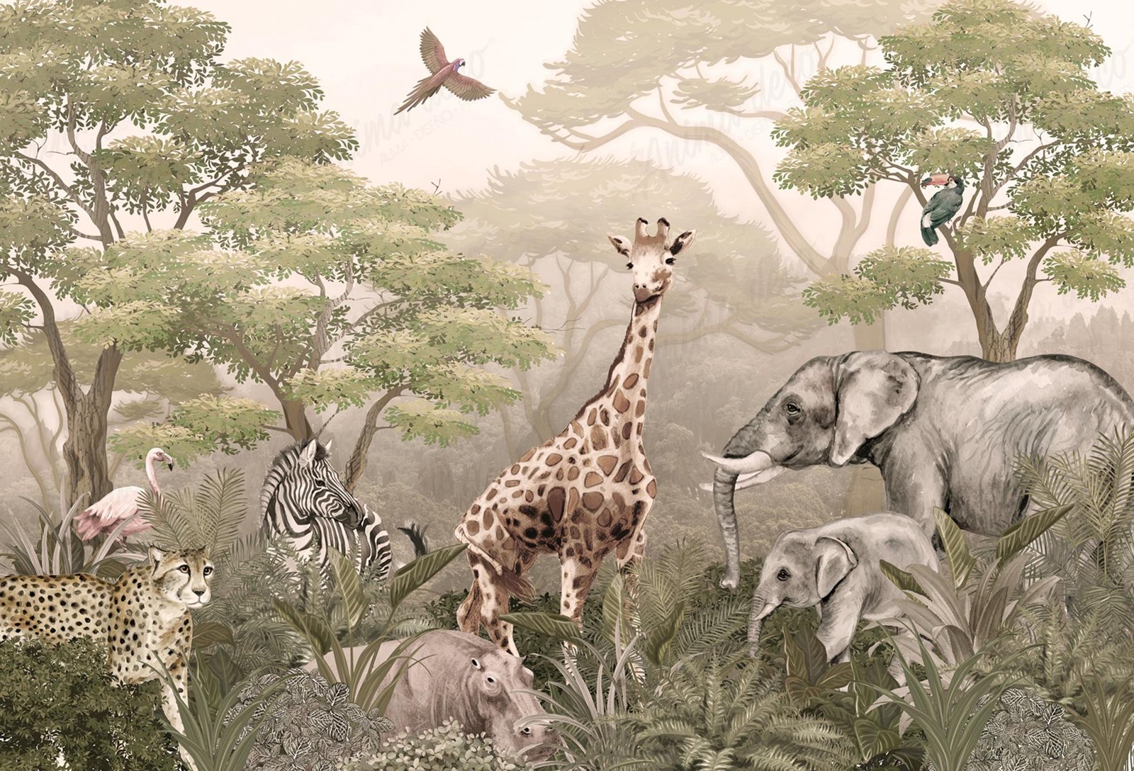 Safari