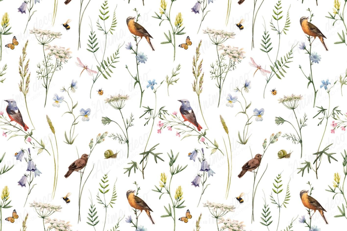 Aves 01