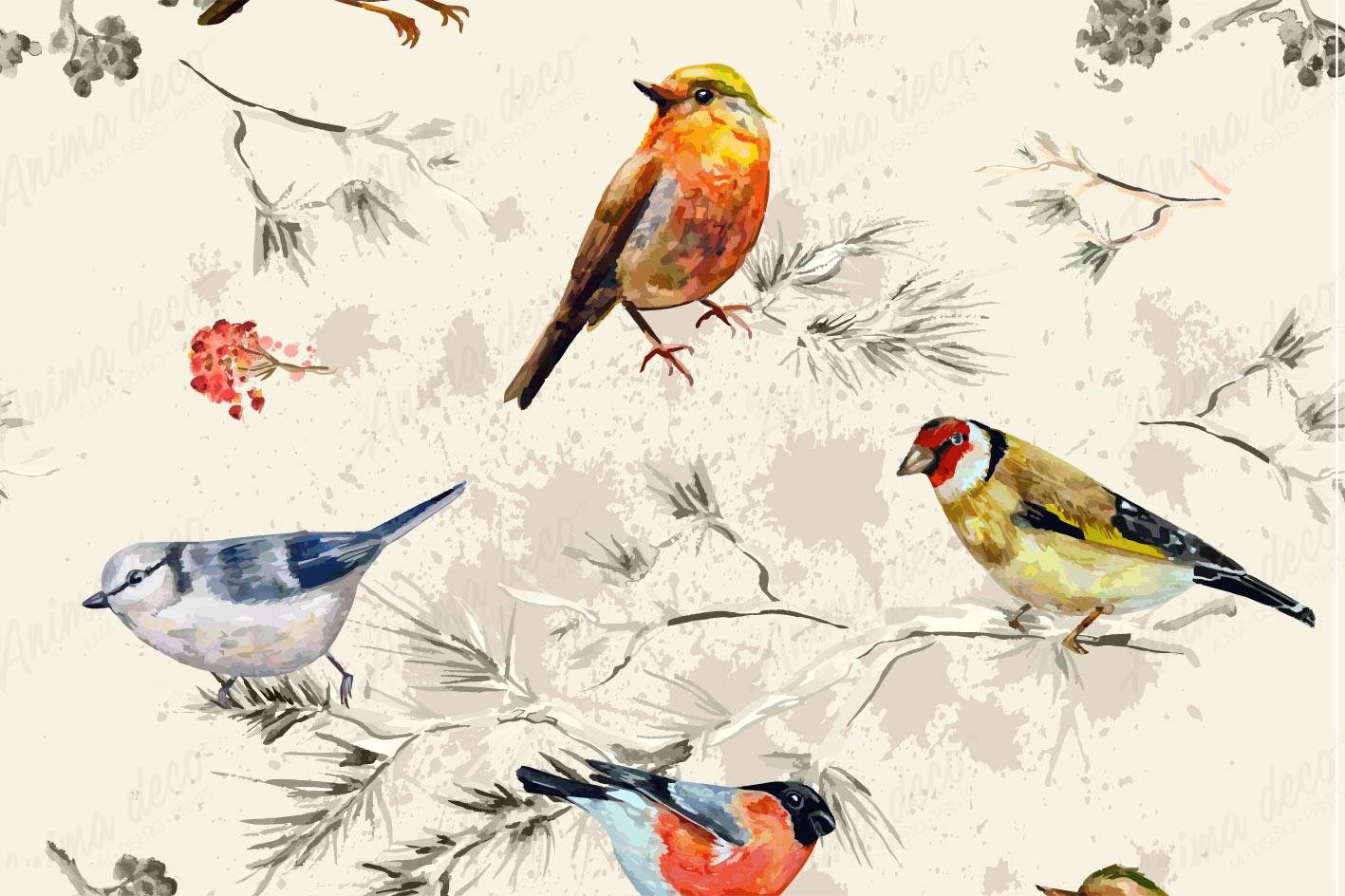 Aves 10