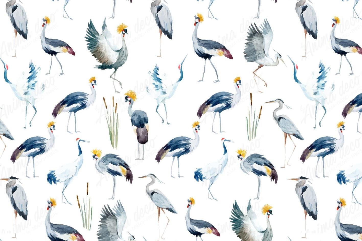 Aves 16