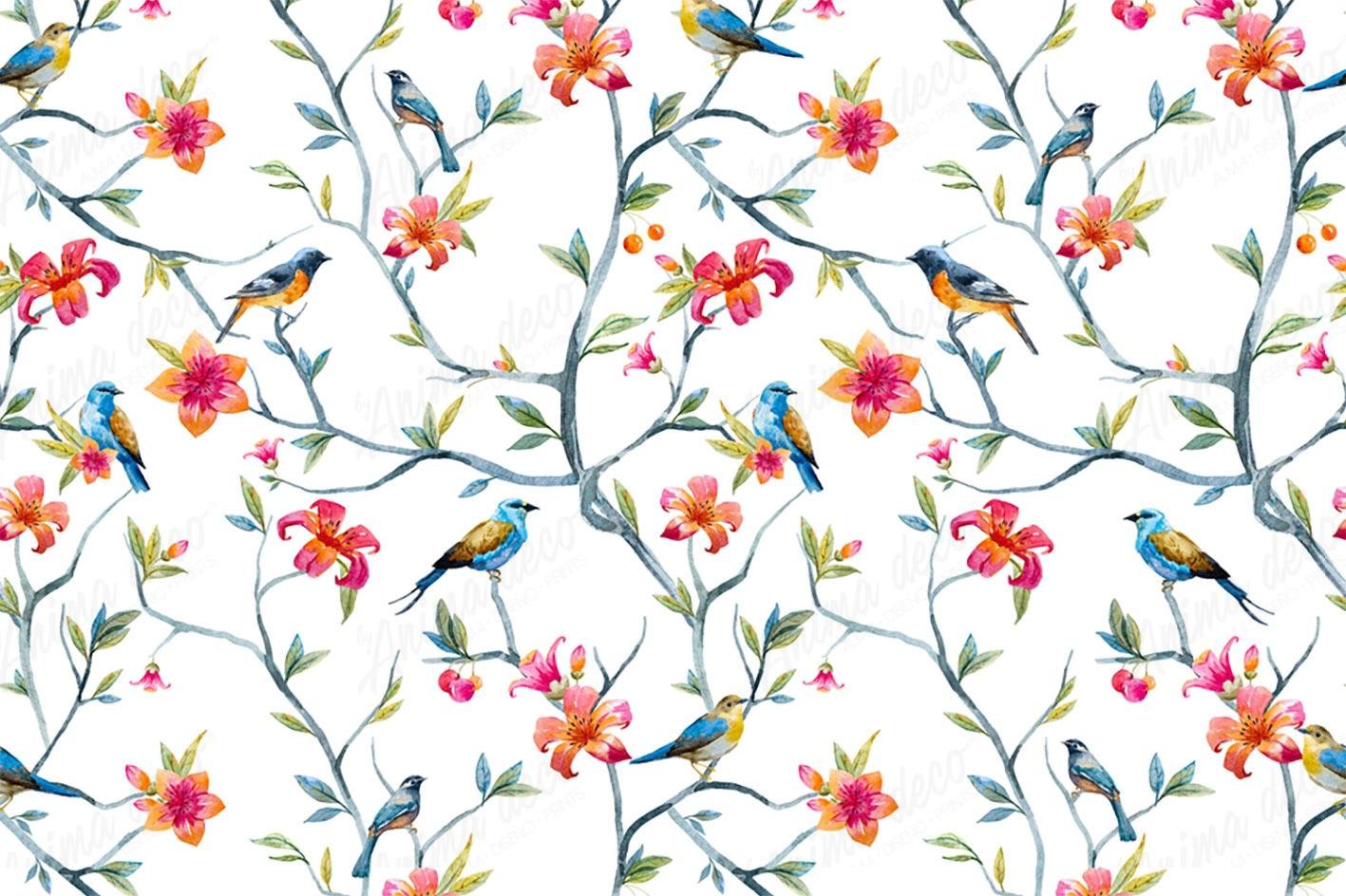Aves 17