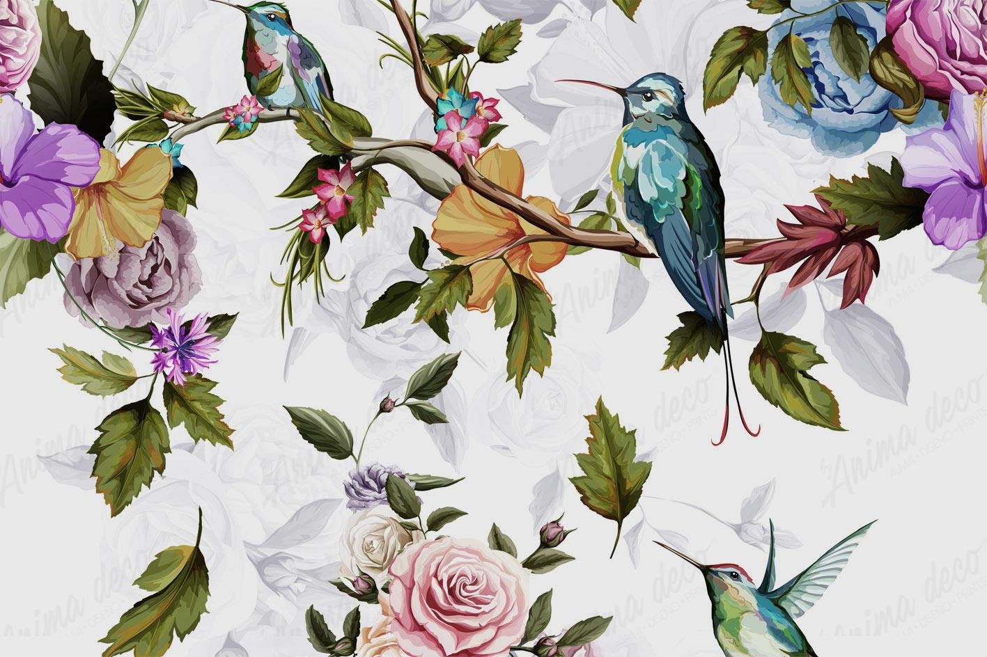 Aves 19