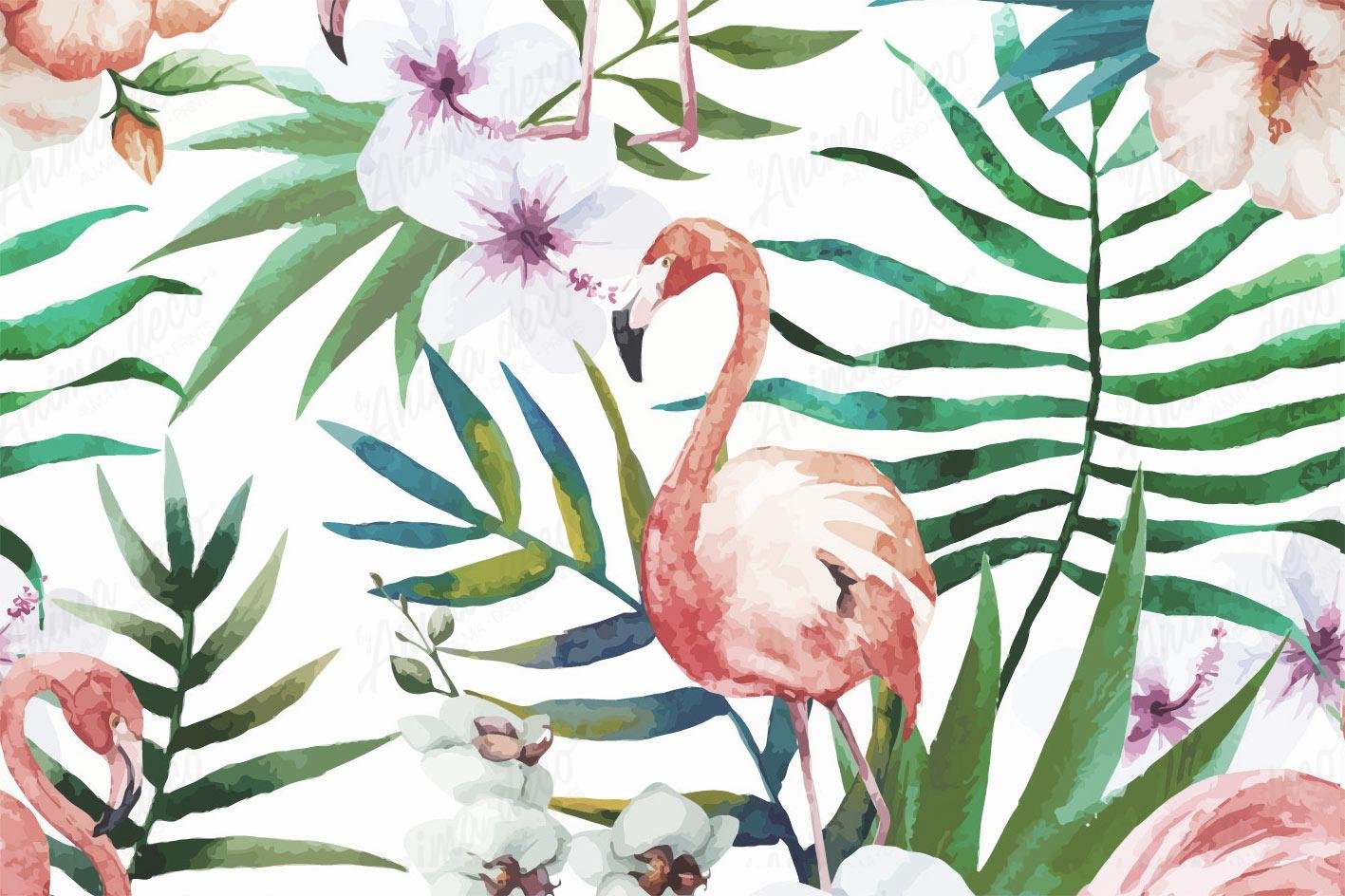 Aves 20
