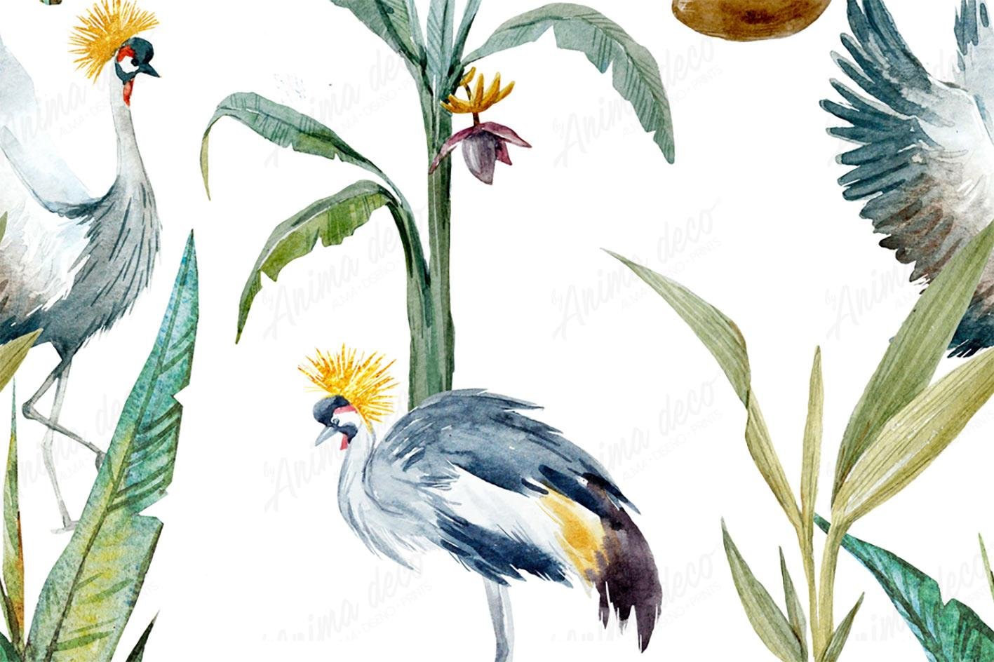 Aves 24