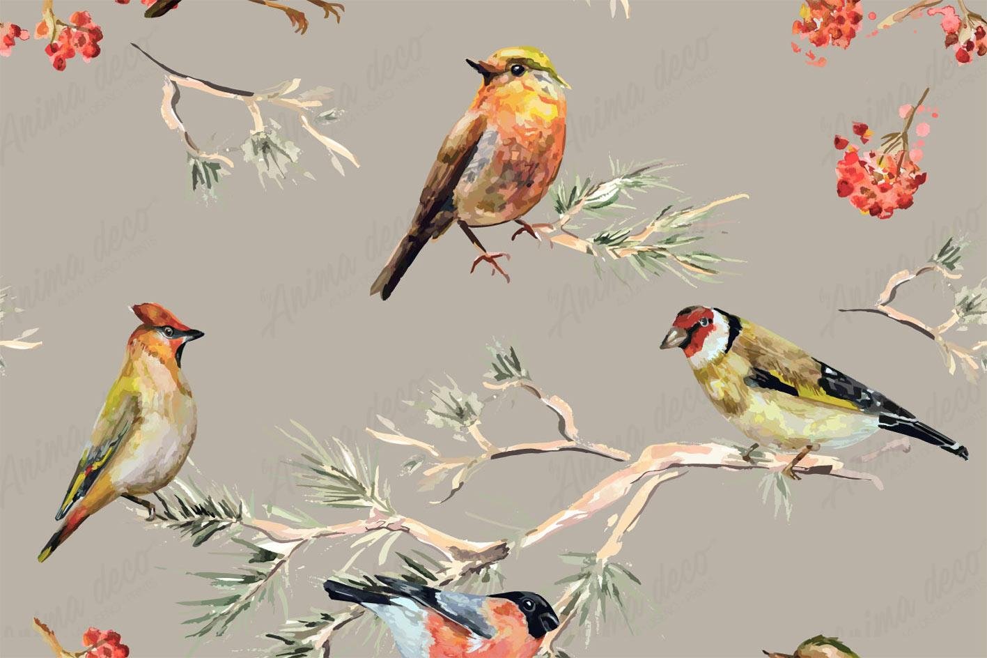 Aves 05