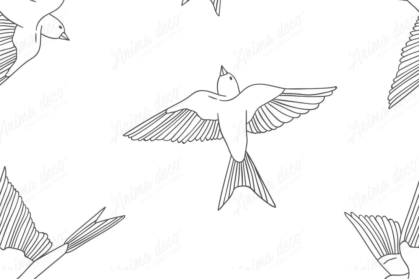 Aves 06