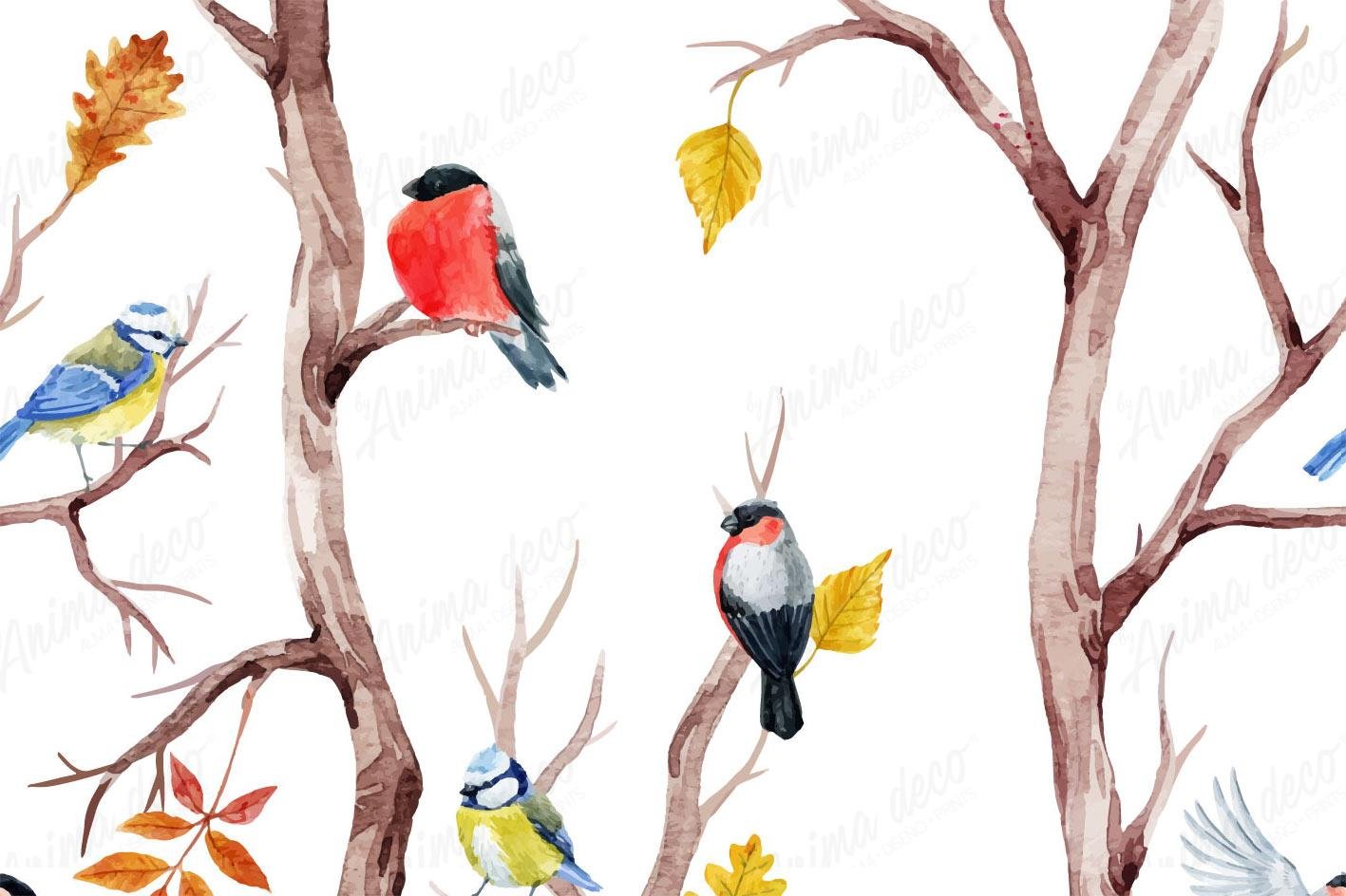 Aves 09