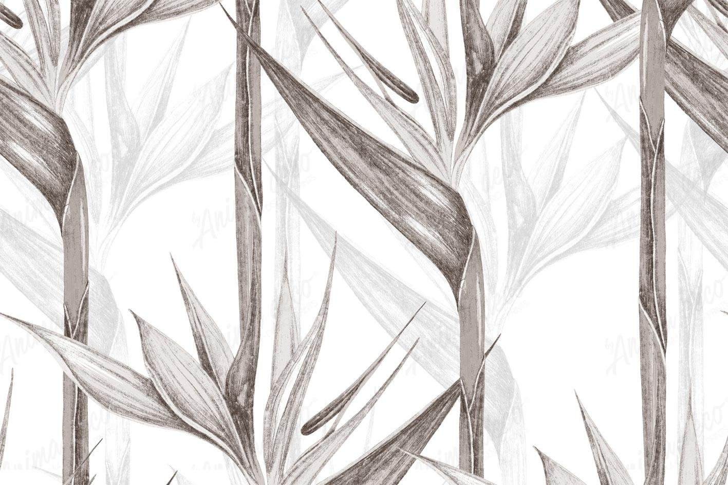 Botanical 64