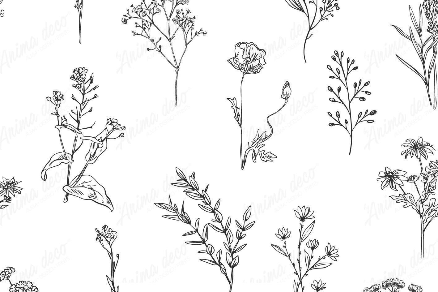 Botanical 82