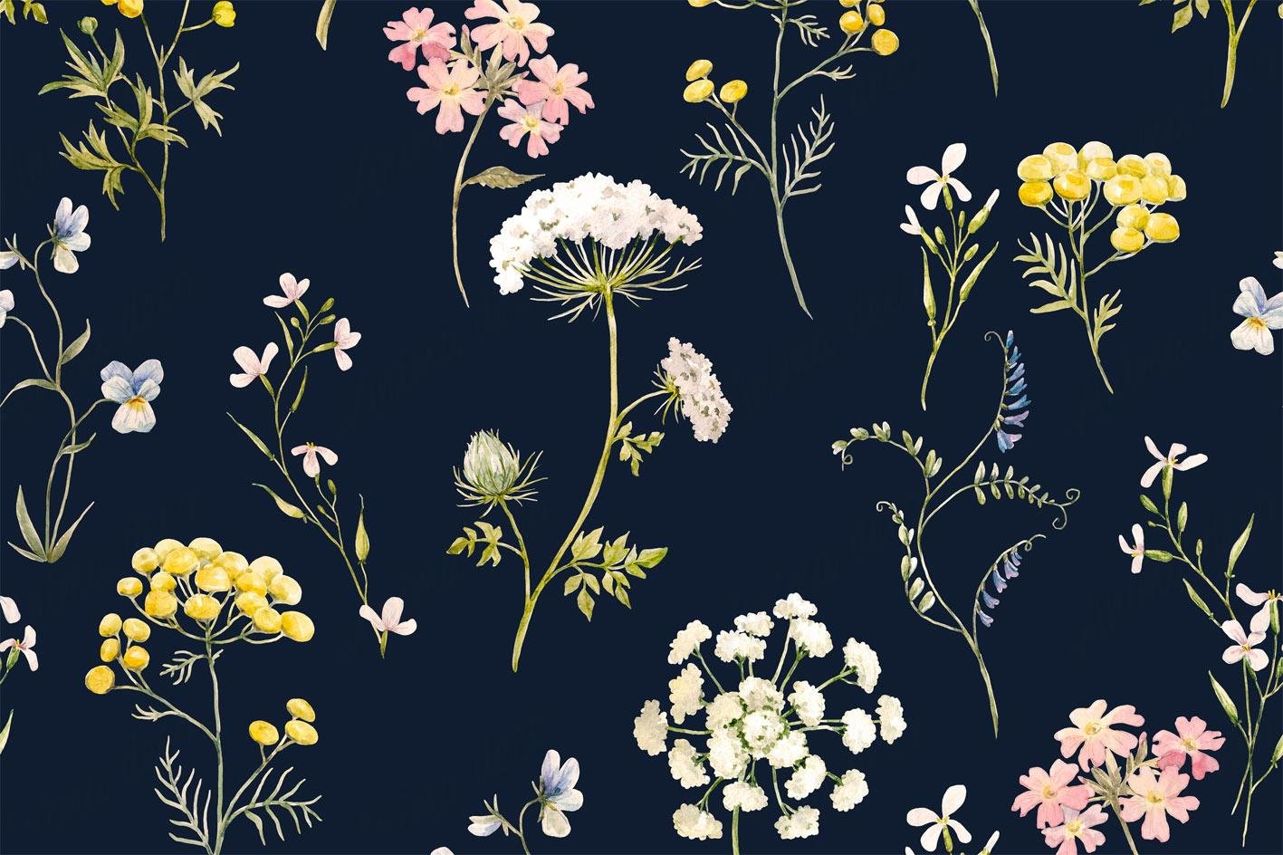 Florales 52