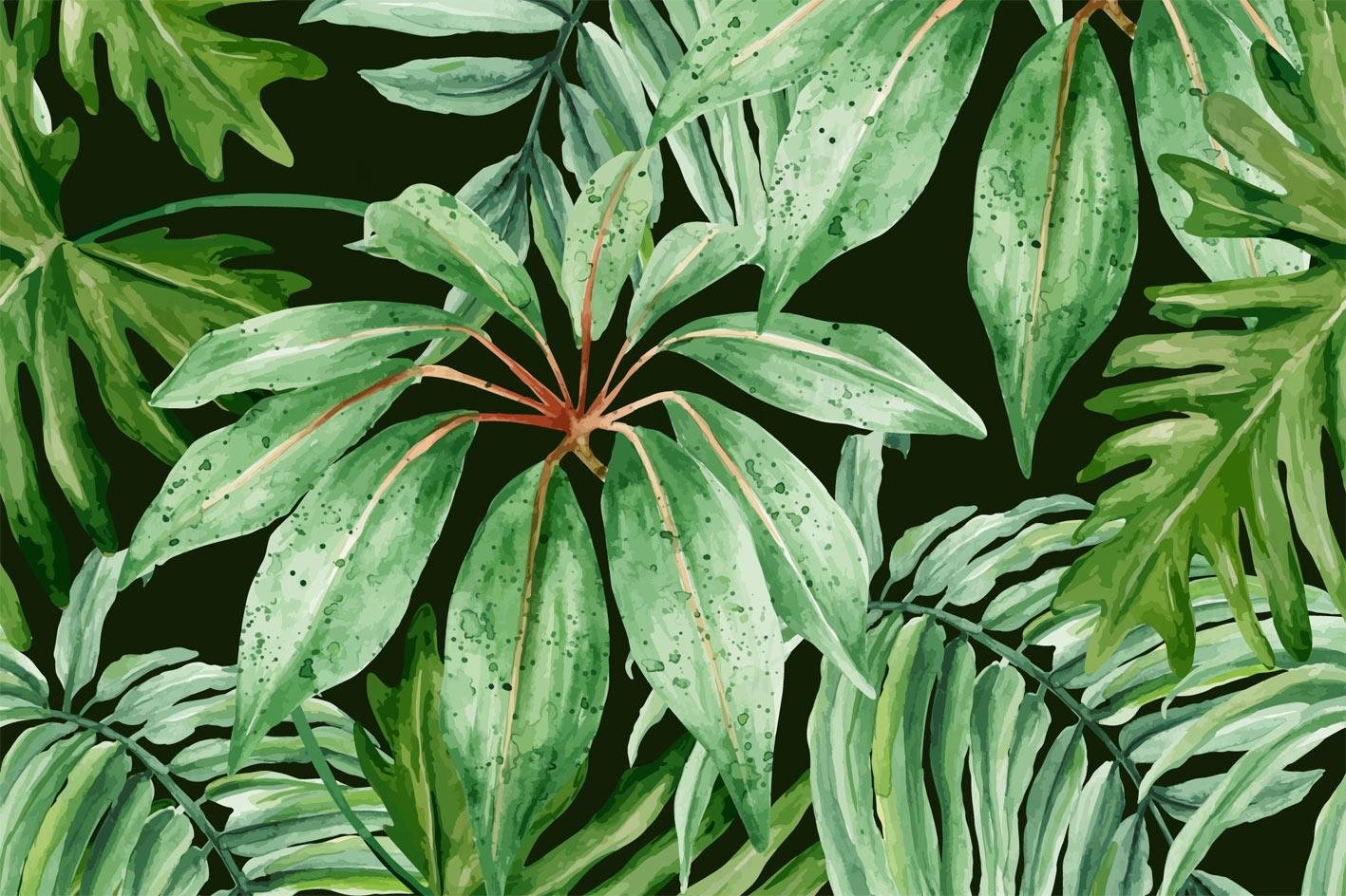 Tropical 05
