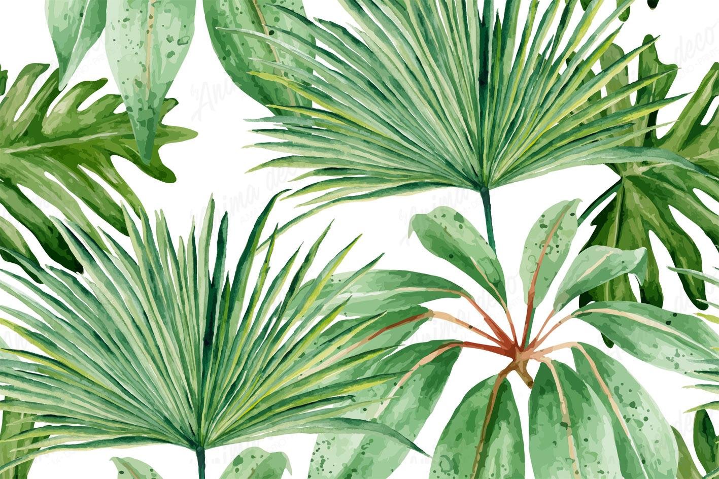 Tropical 06