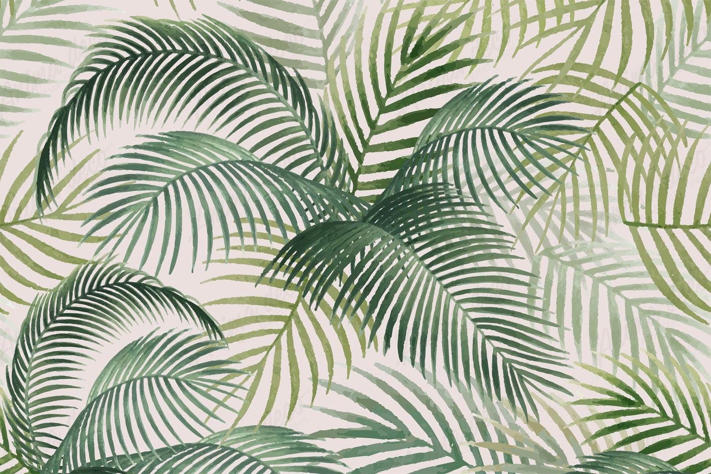 Tropical 12