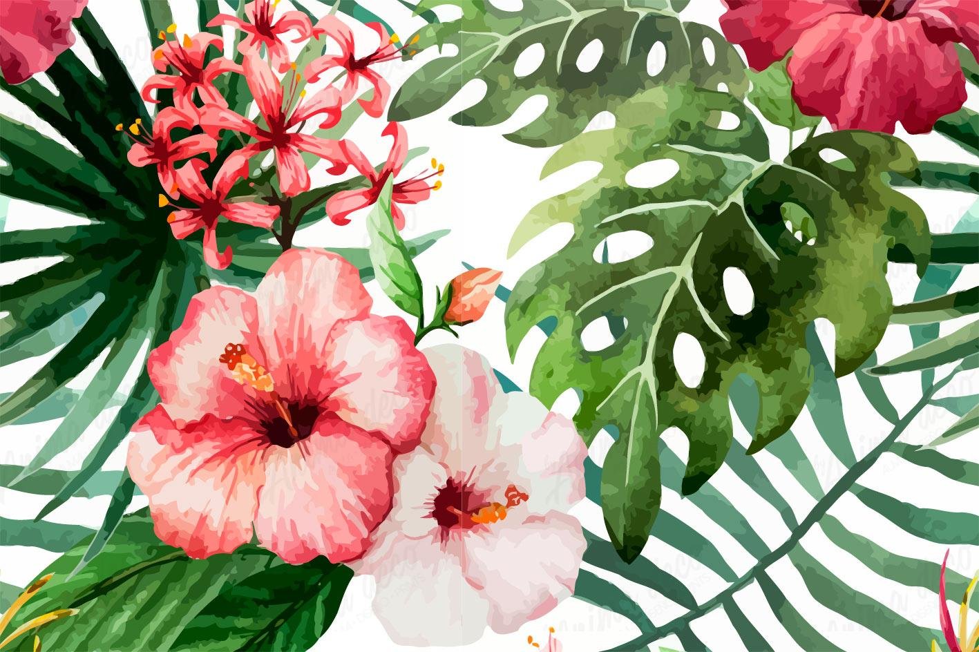 Tropical 23