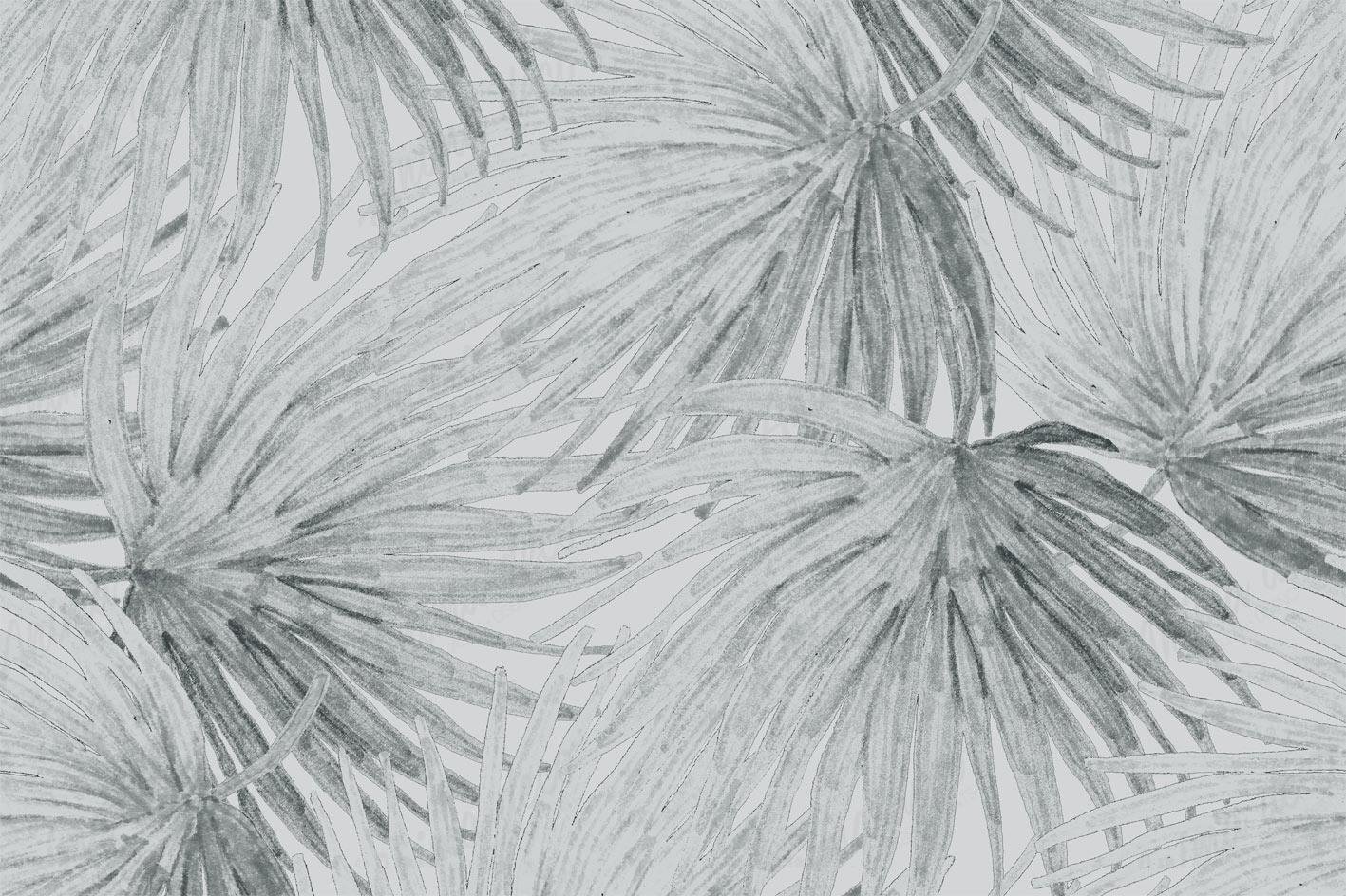 Tropical 28