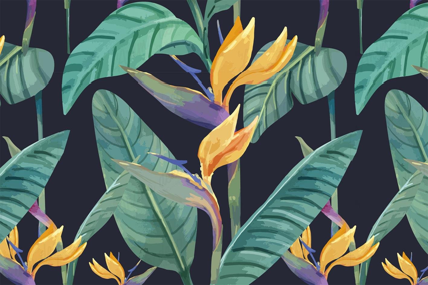 Tropical 29