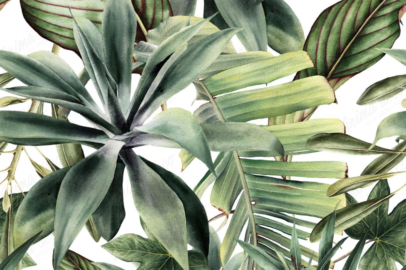 Tropical 30