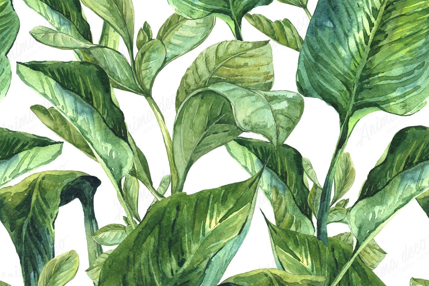 Tropical 31