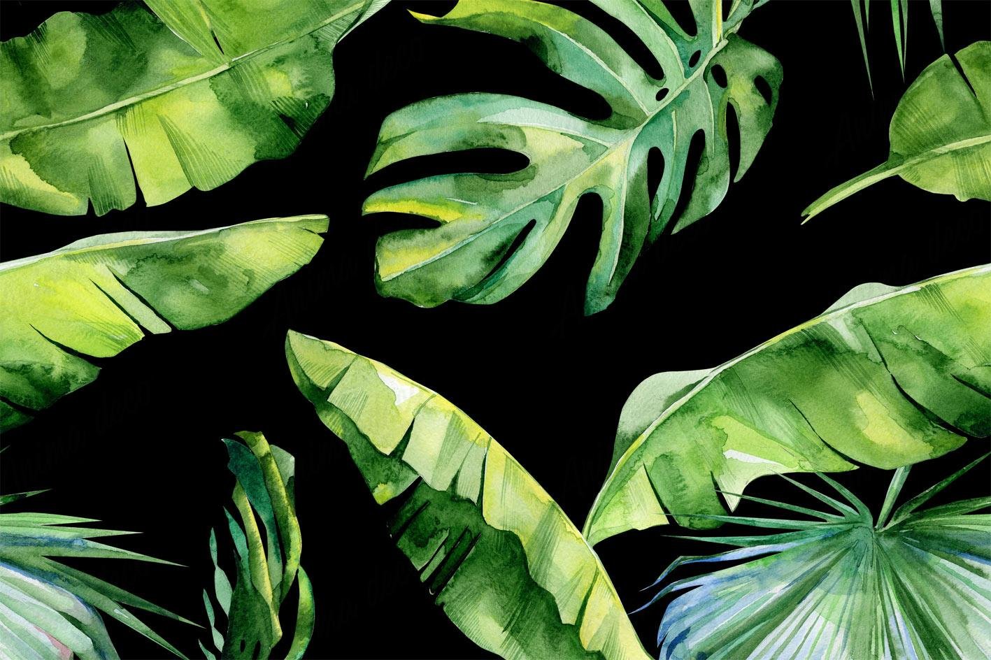 Tropical 53