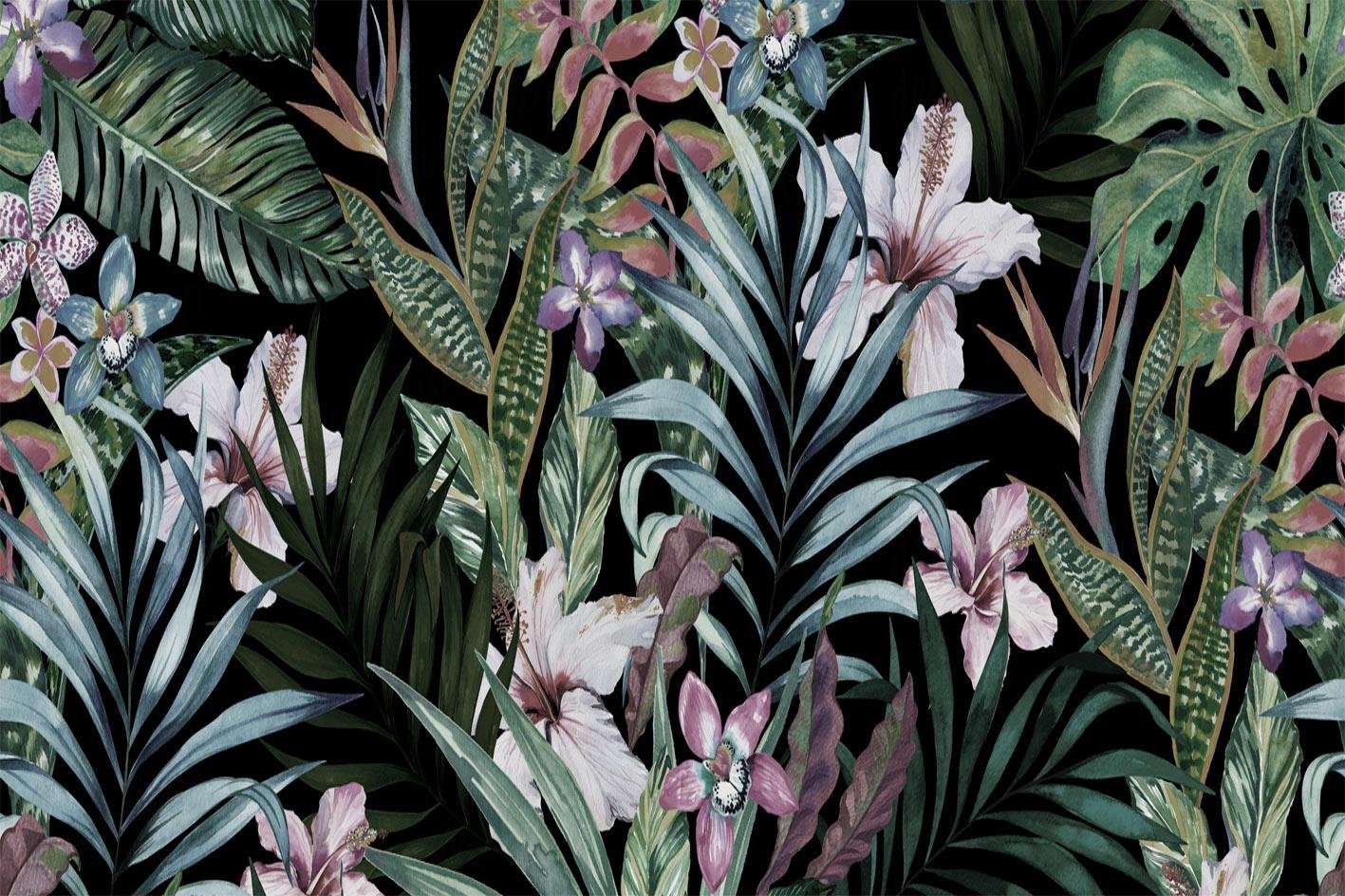 Tropical 62