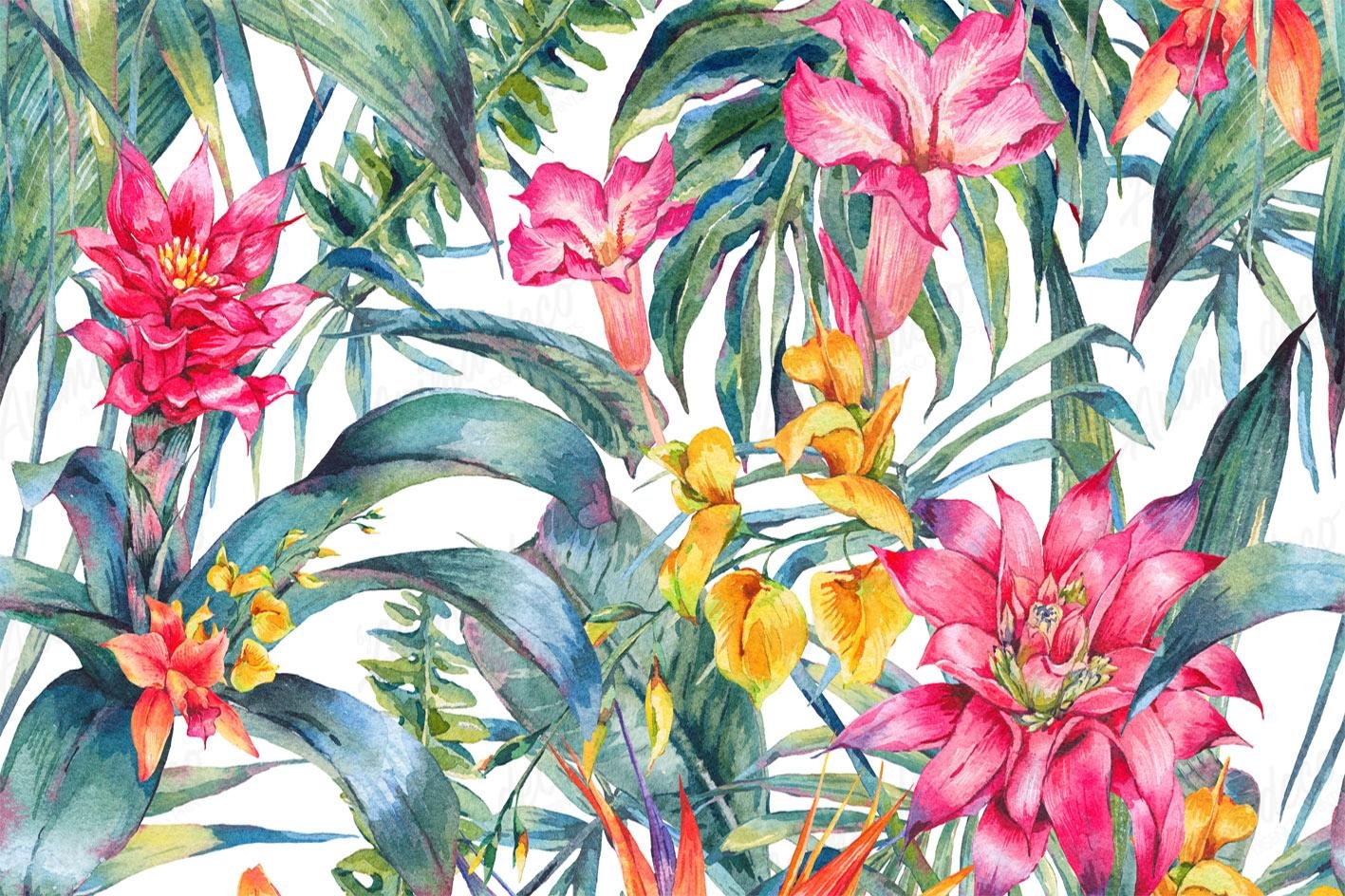 Tropical 67