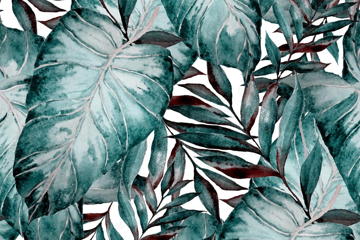 Tropical 70