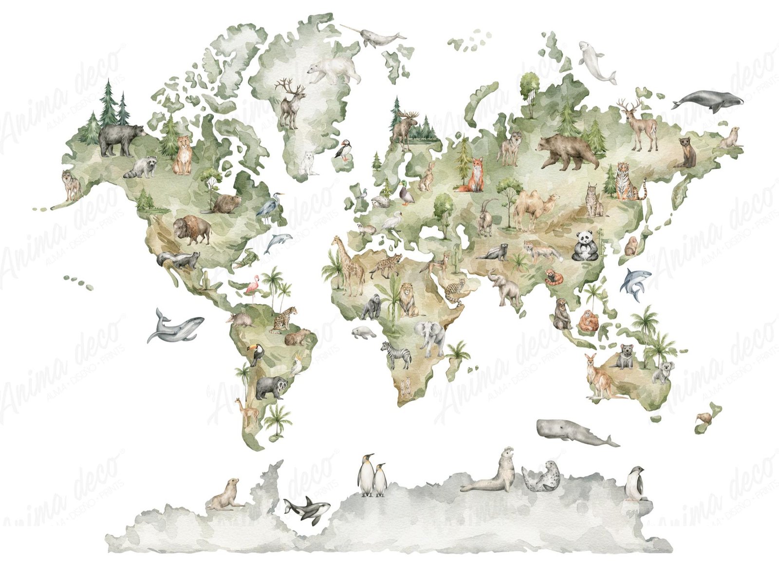 Mapa 13