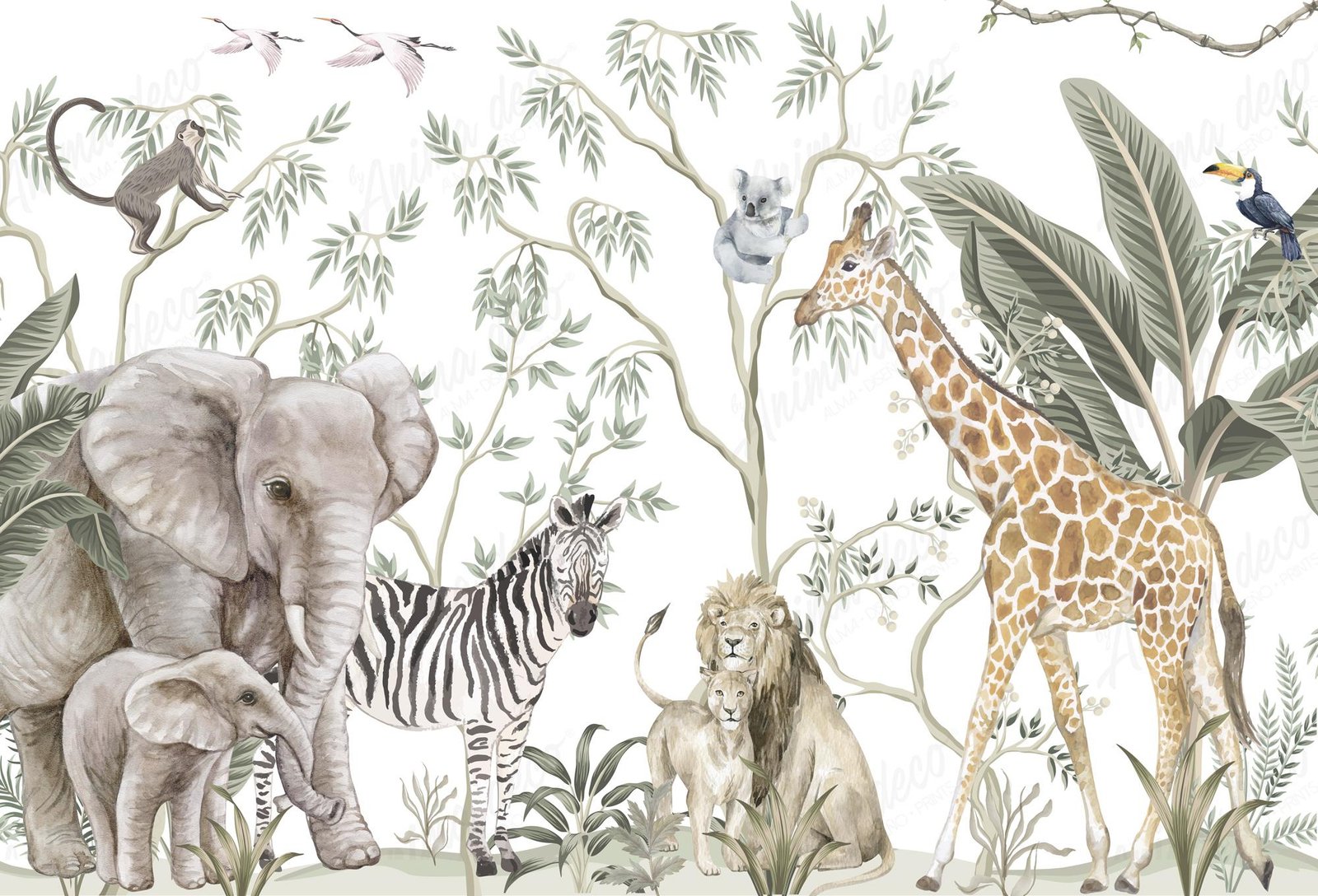 La Selva