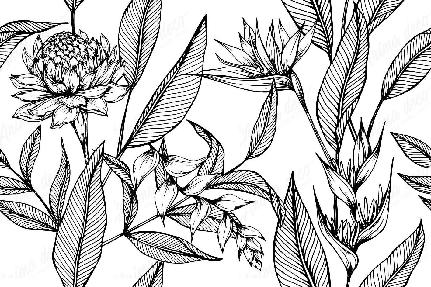 Blanco y negro 02