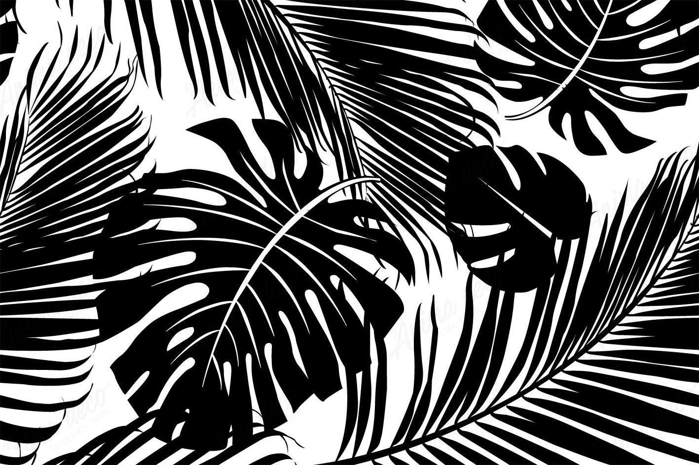 Blanco y negro 03