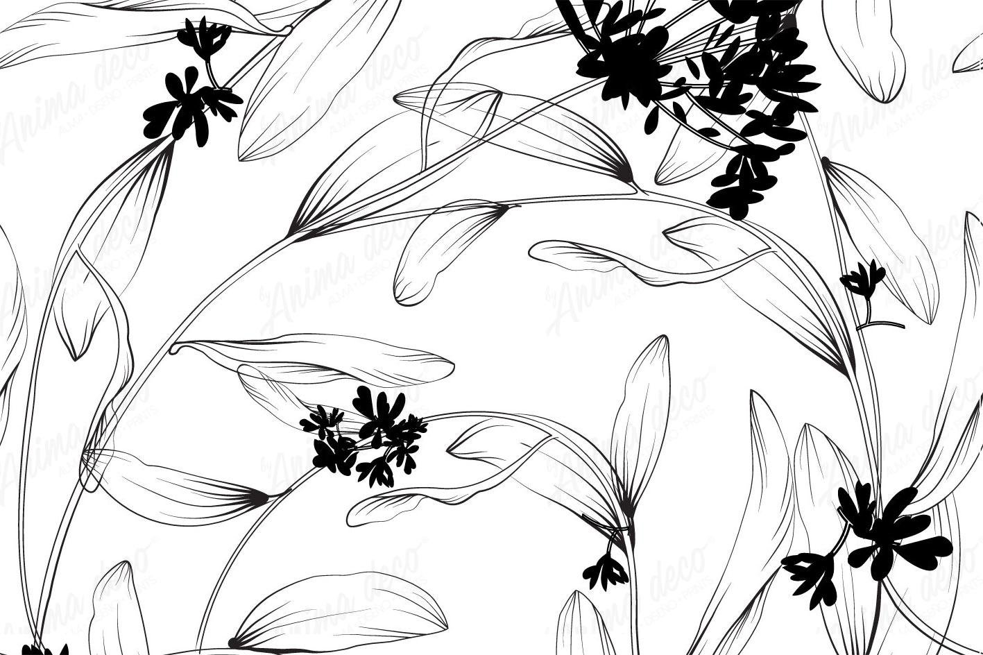 Blanco y negro 04