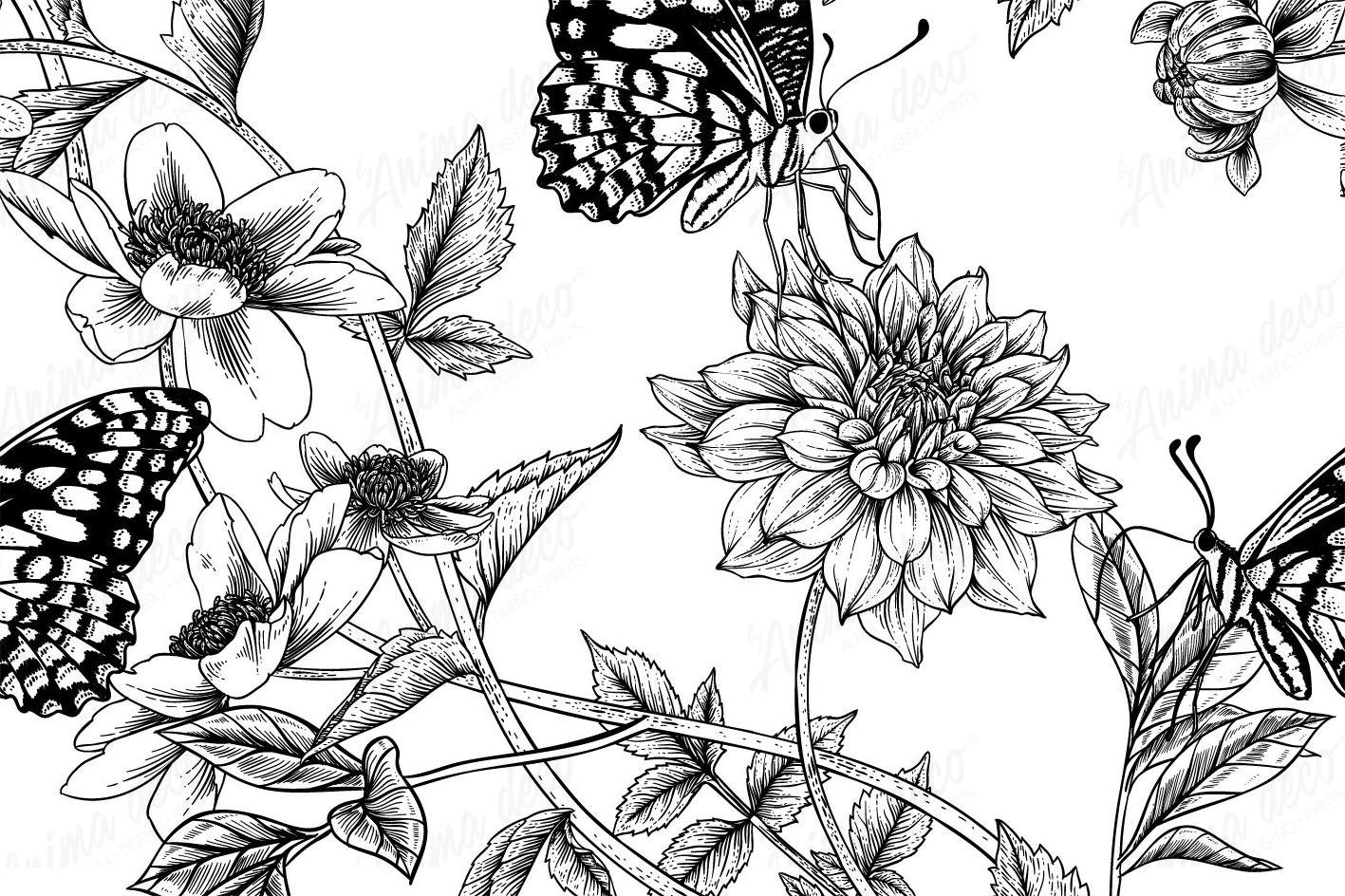 Blanco y negro 05