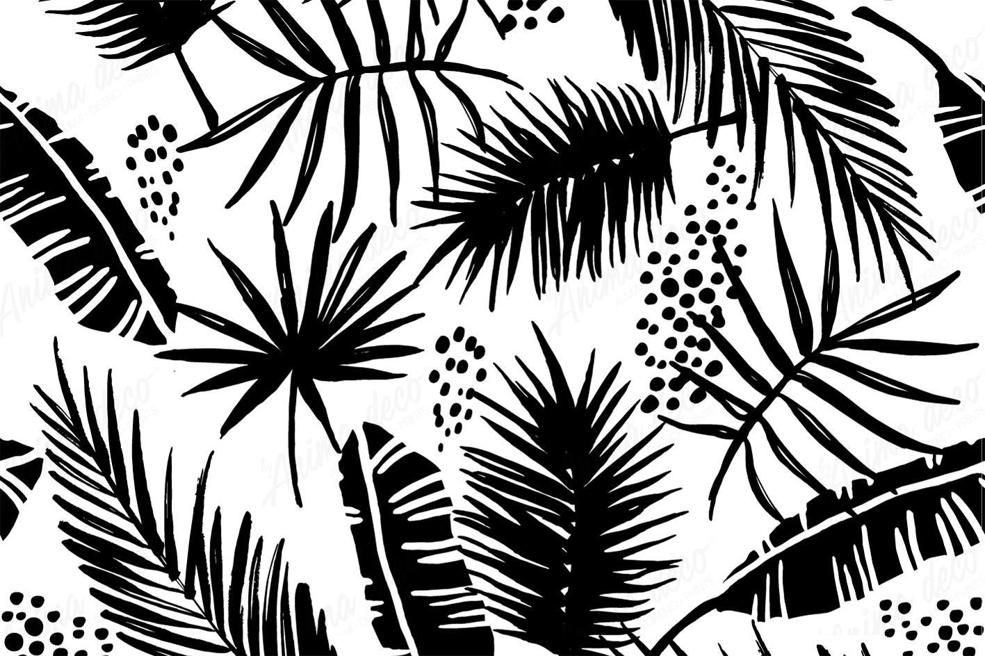 Blanco y negro 07
