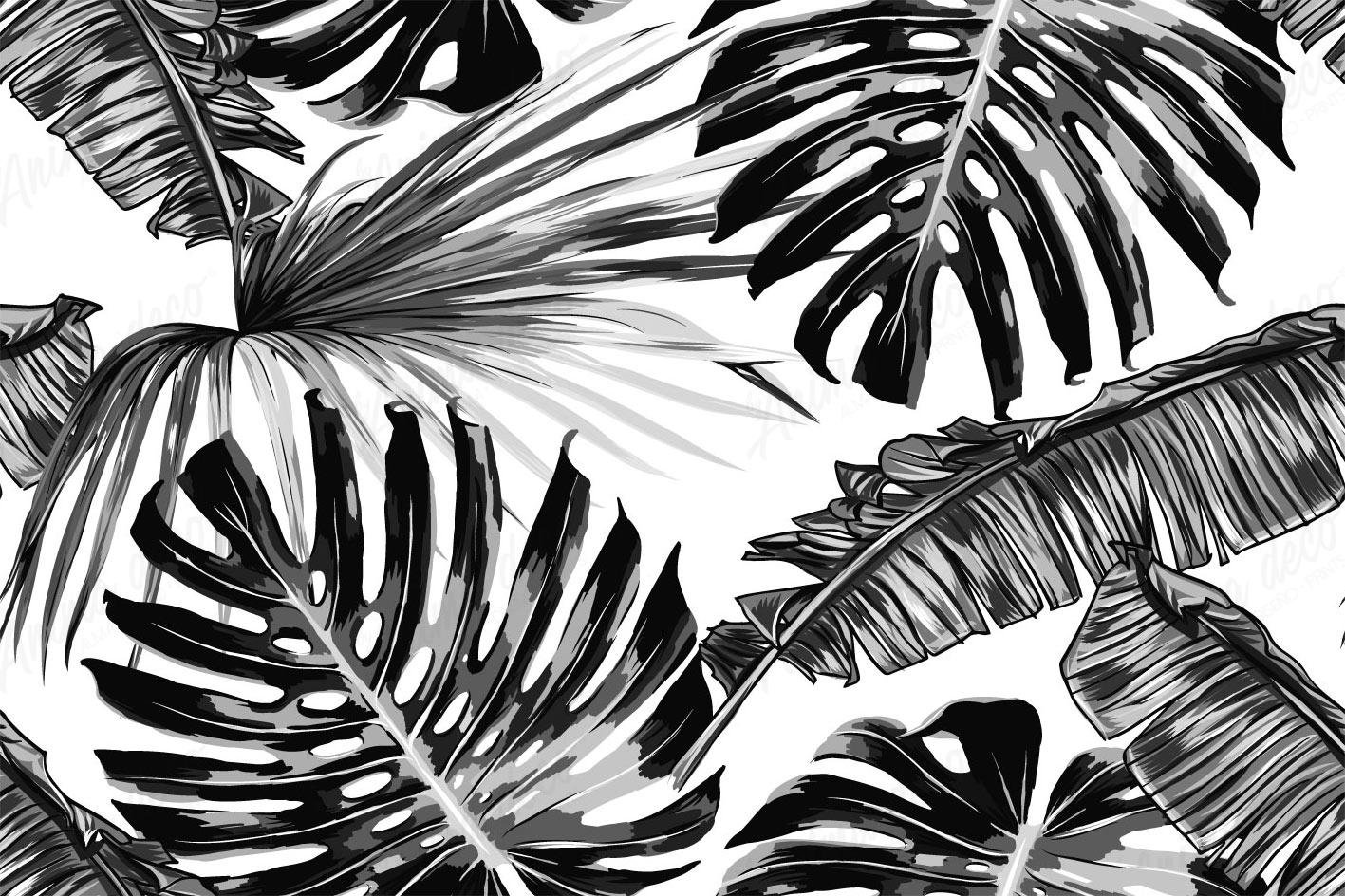 Blanco y negro 09