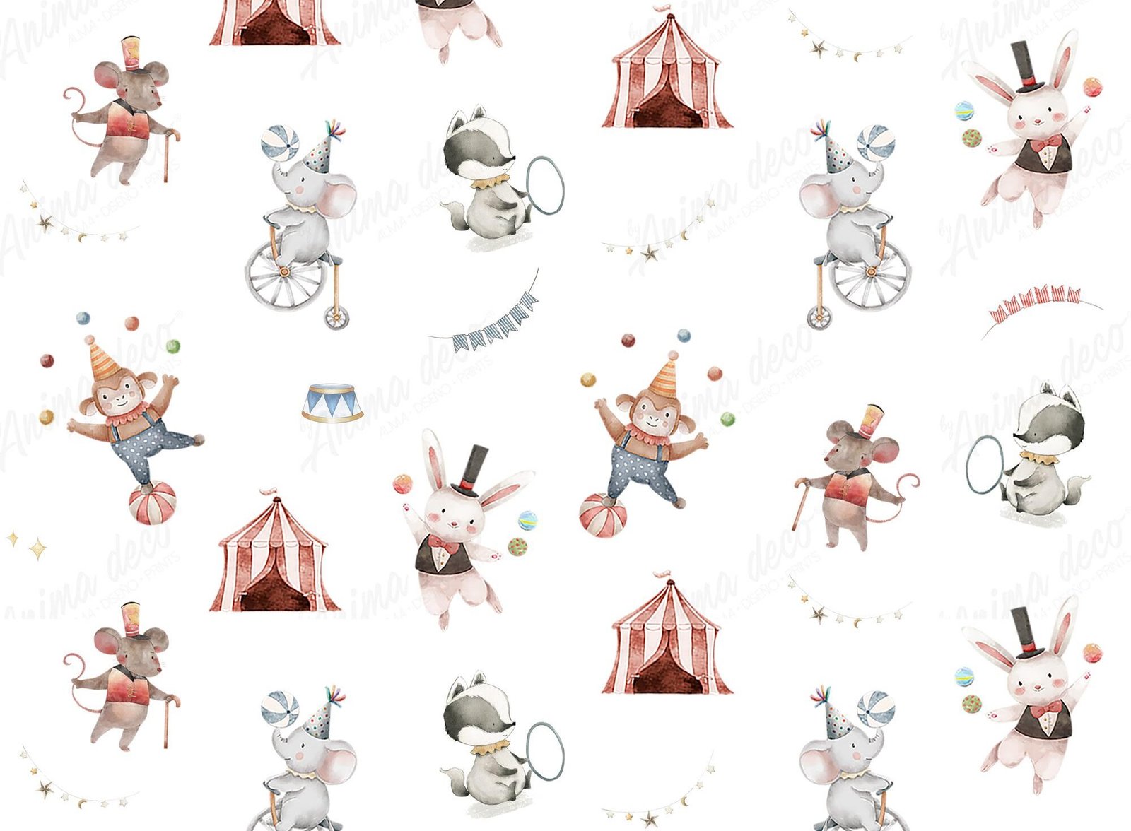 Circus LAS FLORITAS