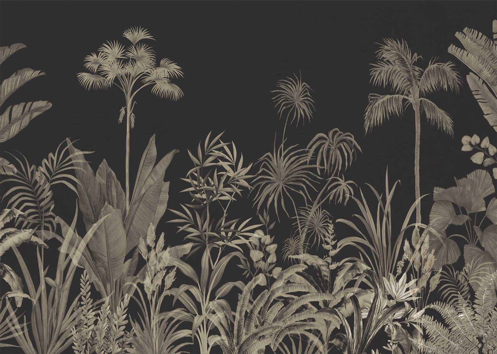 Dark Paysage