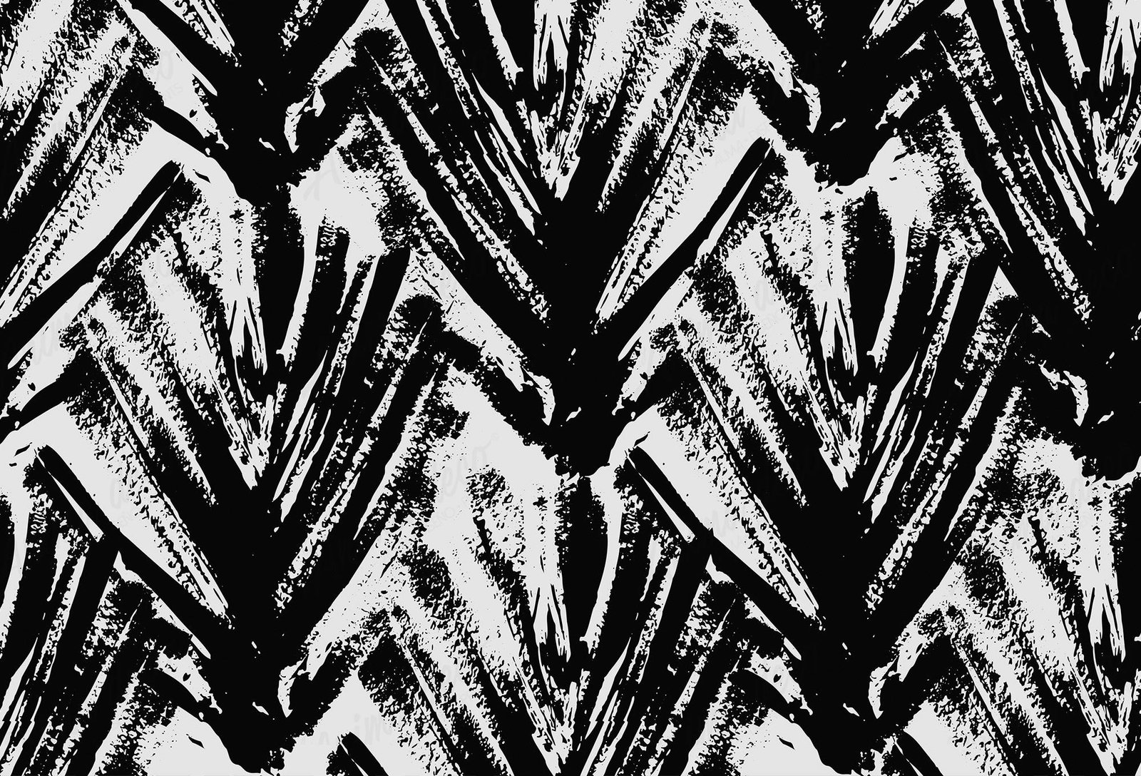 Blanco y negro 21