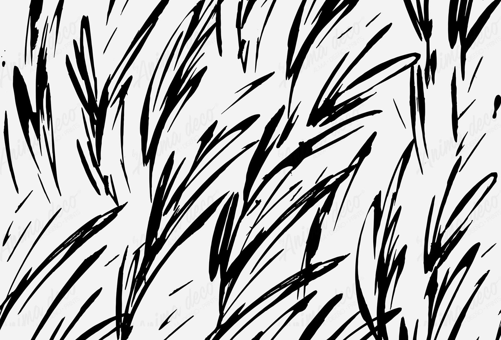 Blanco y negro 25