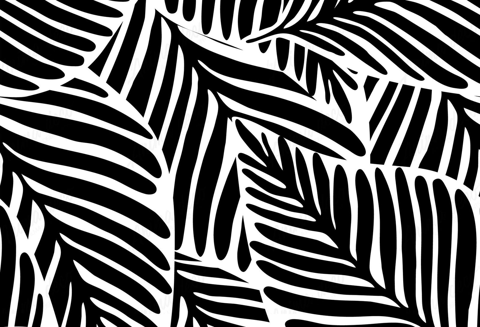 Blanco y negro 27