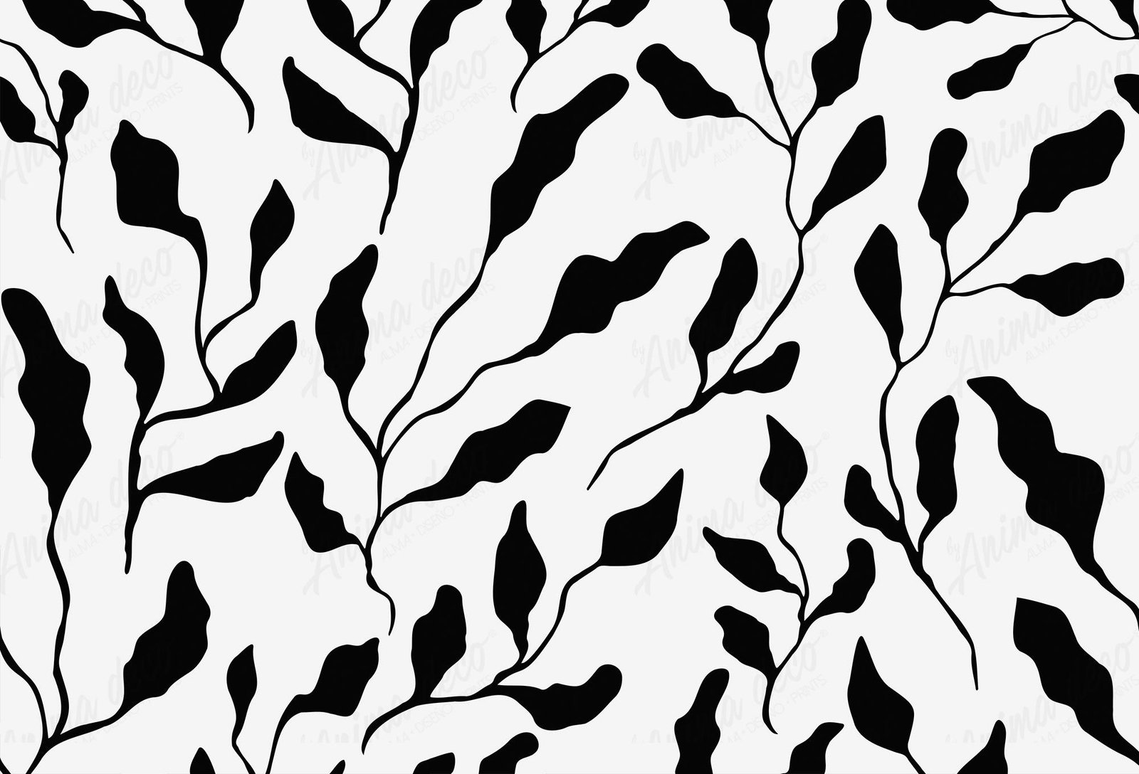 Blanco y negro29