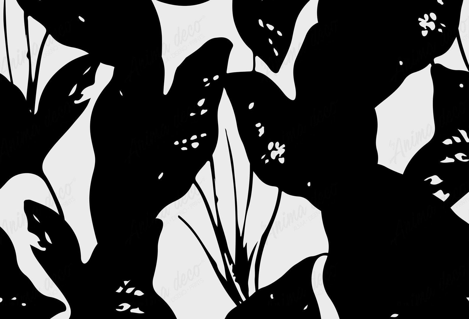 Blanco y negro 30
