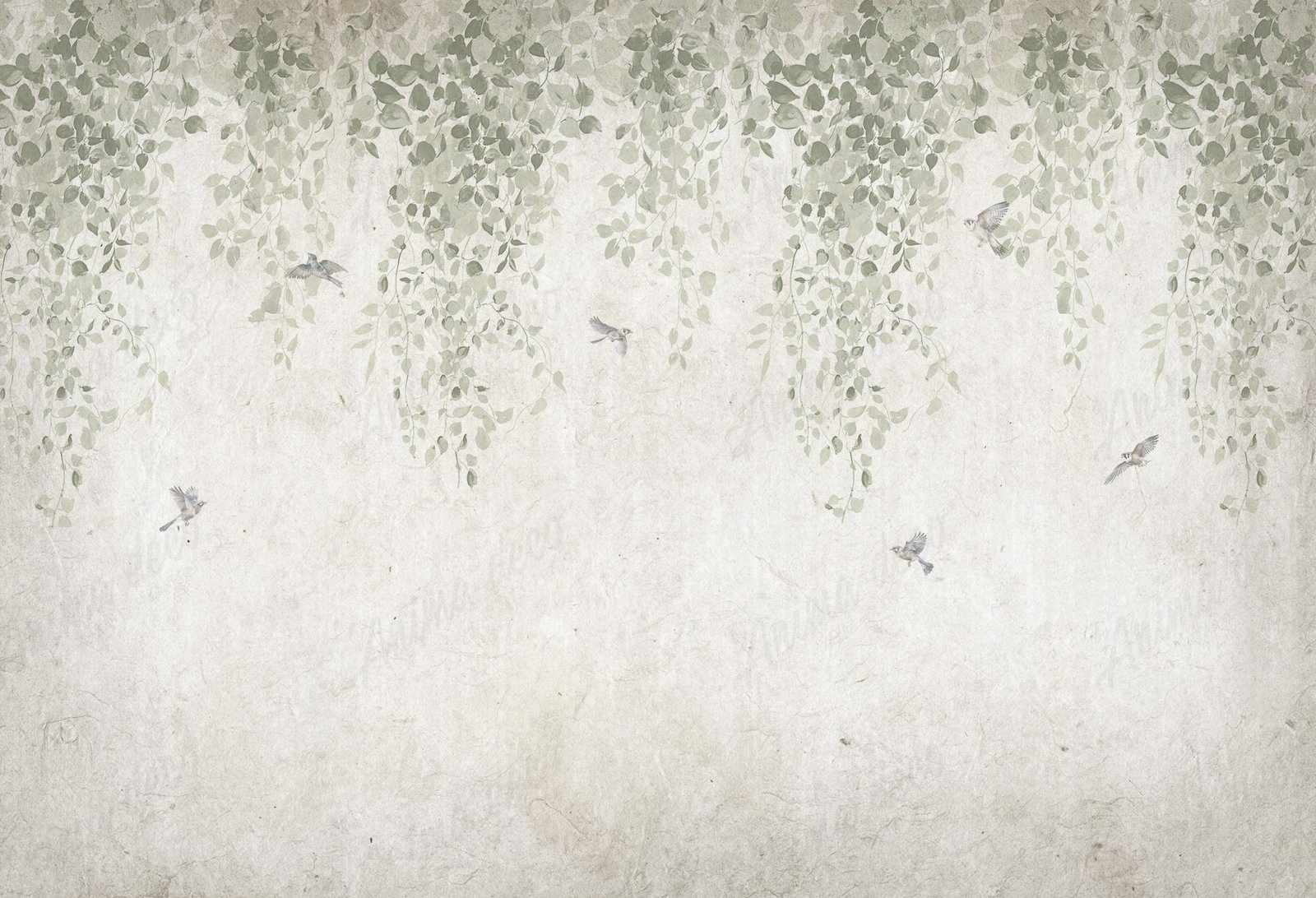 Birdy old