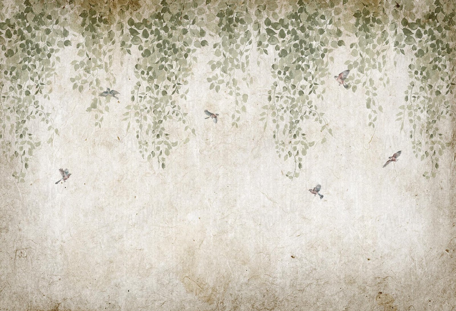 Birdy grunge