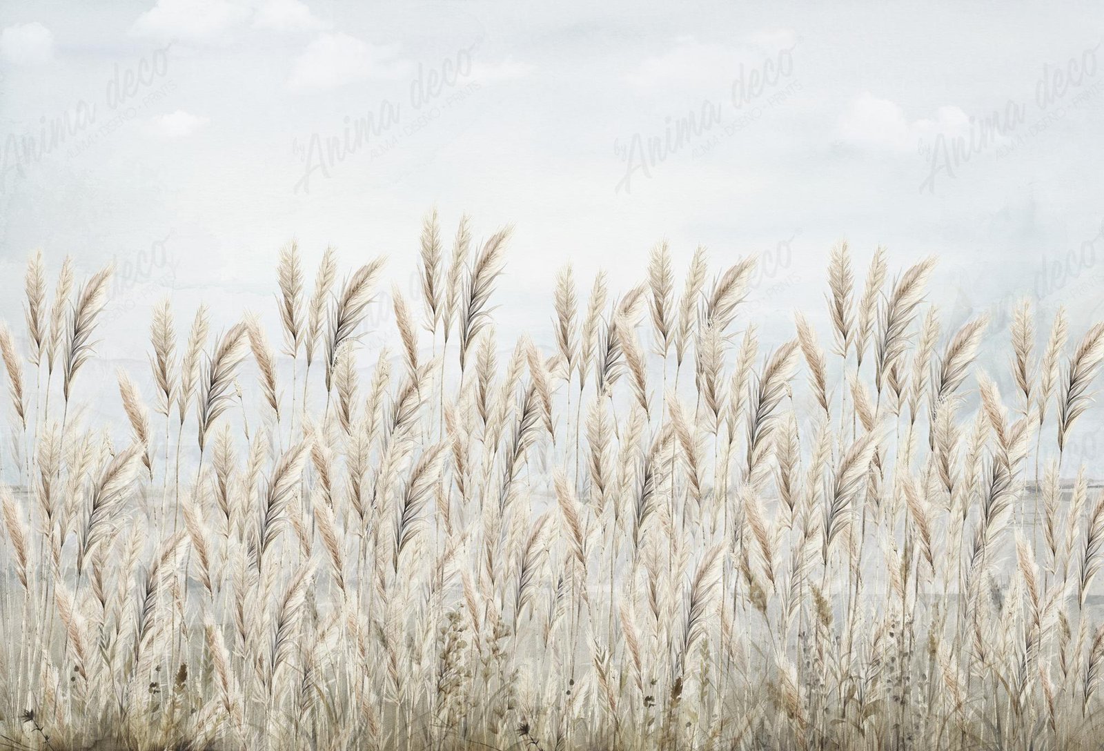 Plumerillos