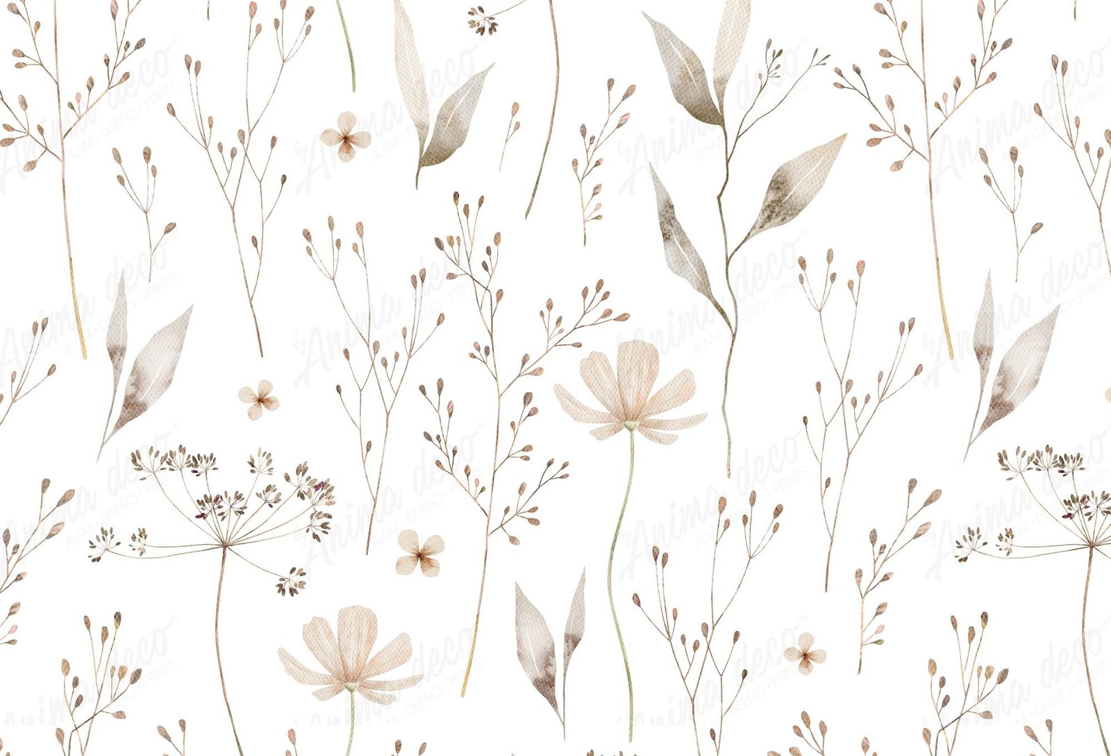 Florales 01