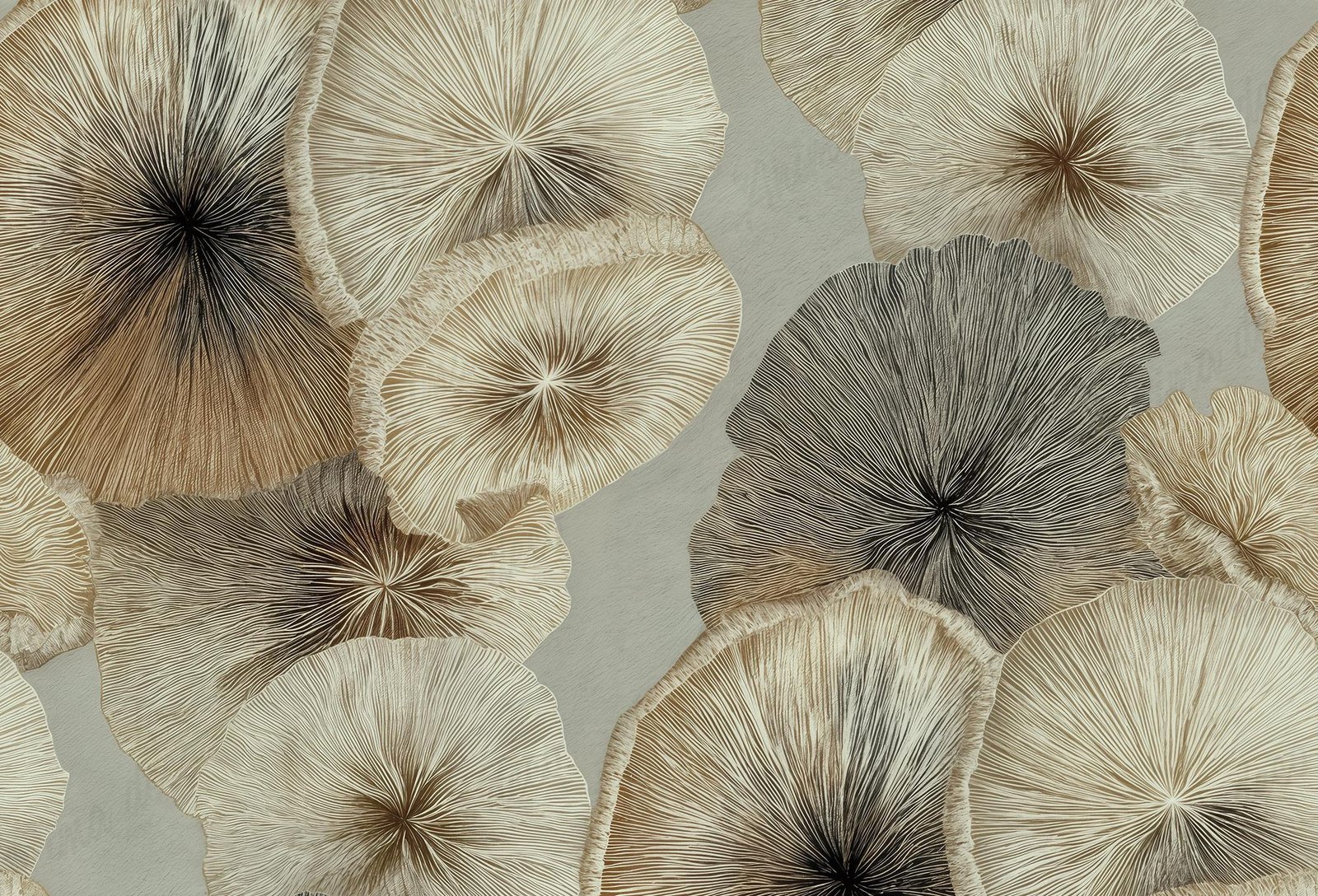 Mushrooms
