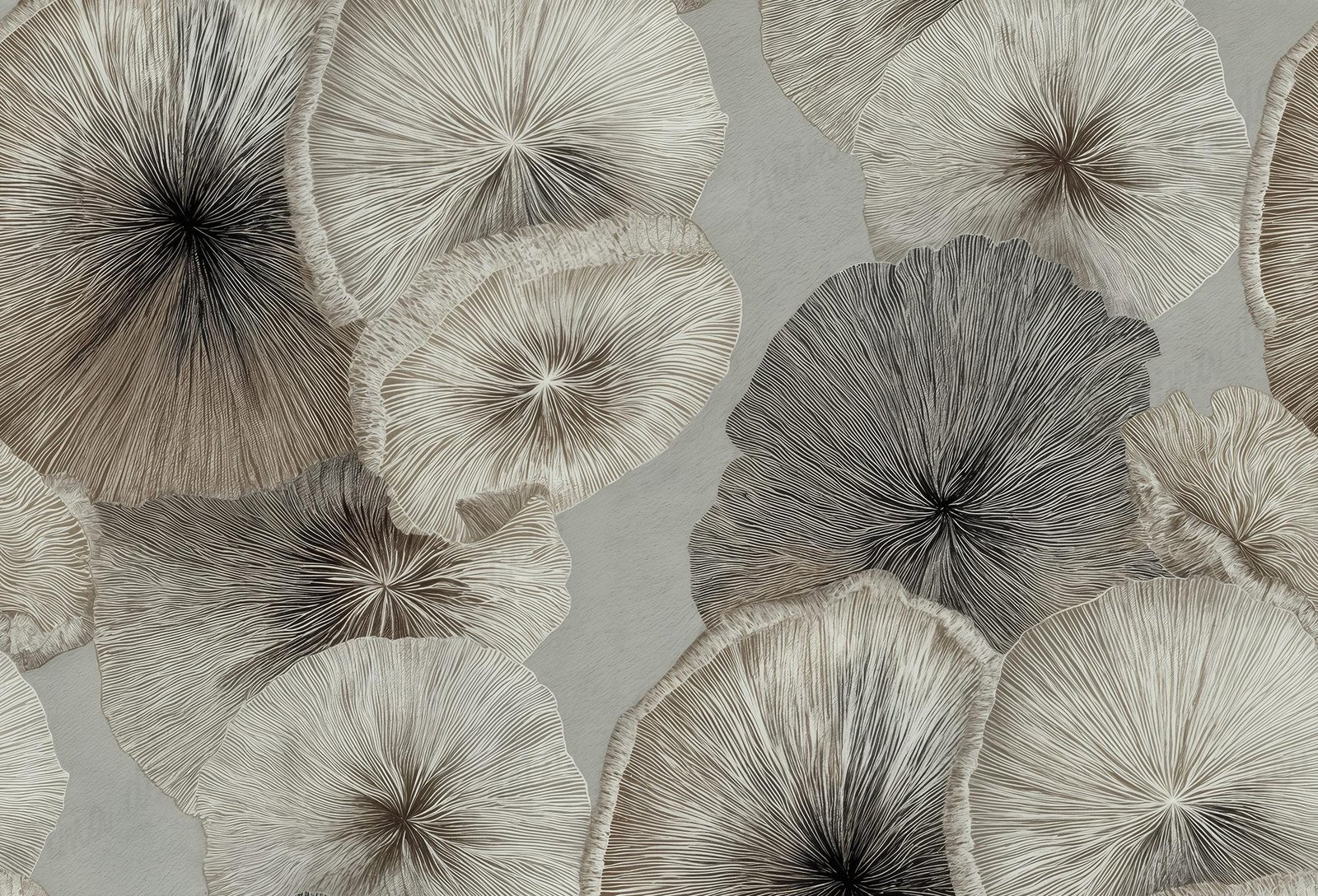Mushrooms light